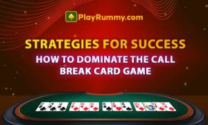 Call Break Card Game